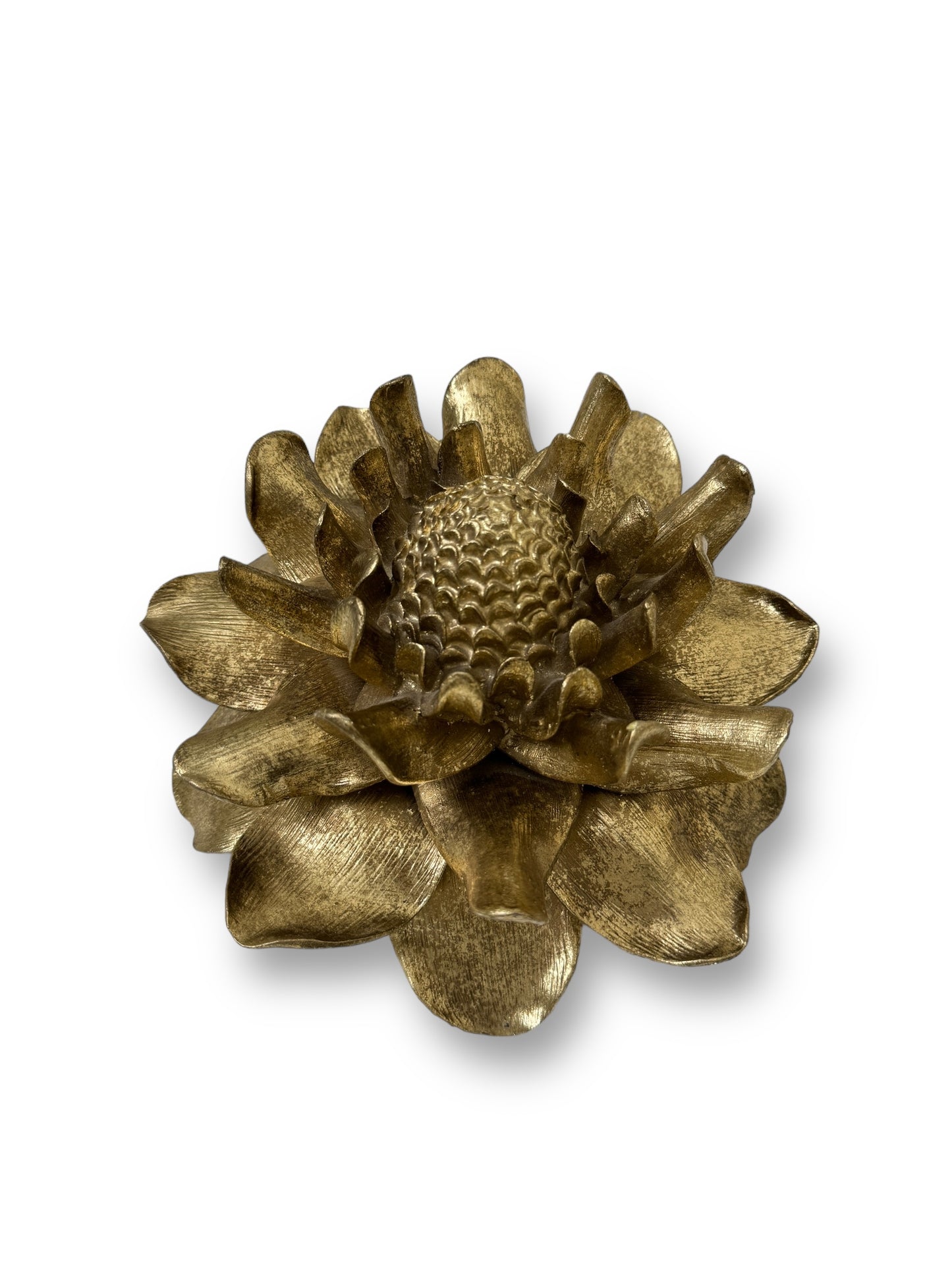 Etlingera Elatior Flower In Gold Wall Decoration