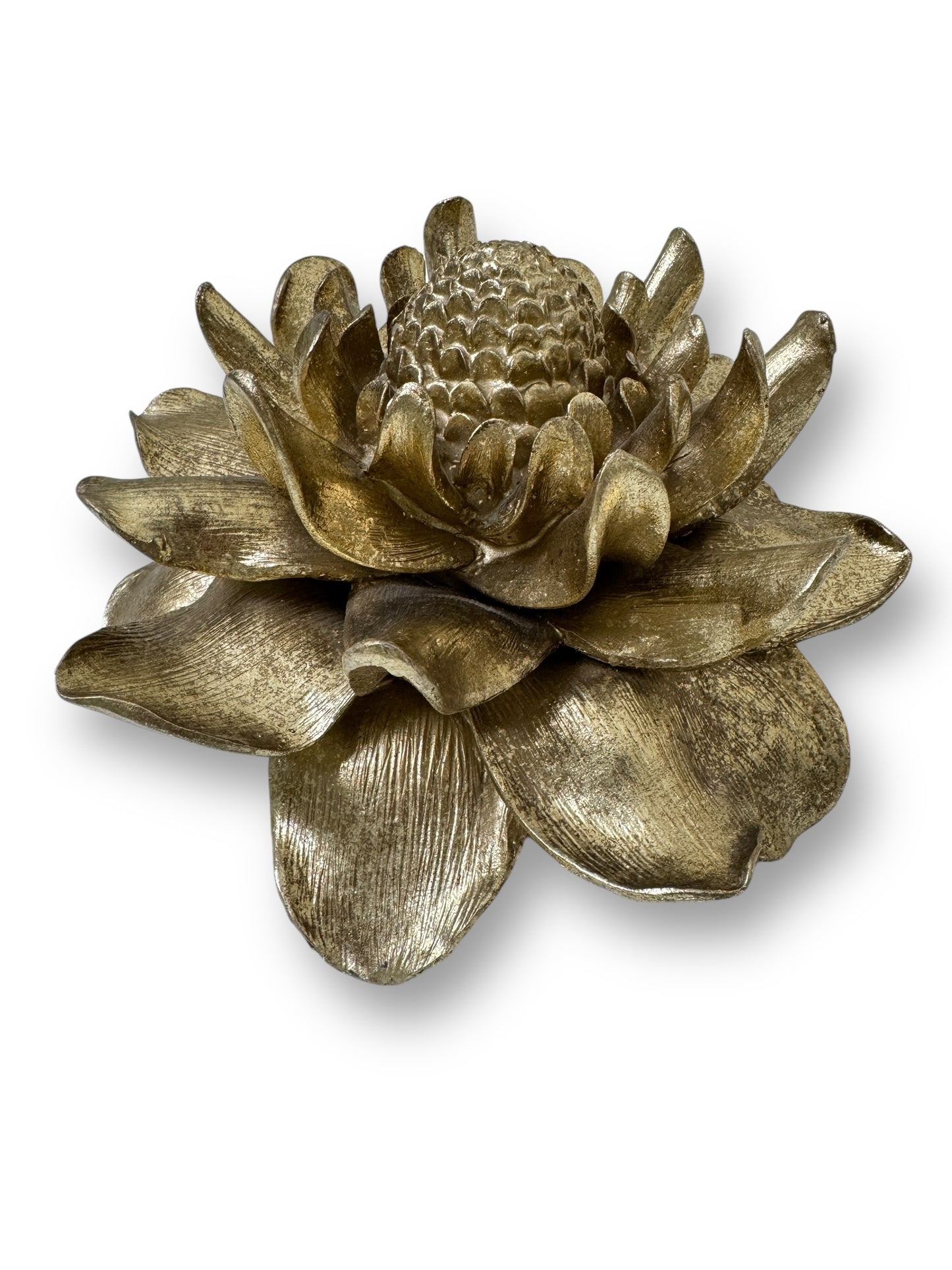 Etlingera Elatior Flower In Gold Wall Decoration