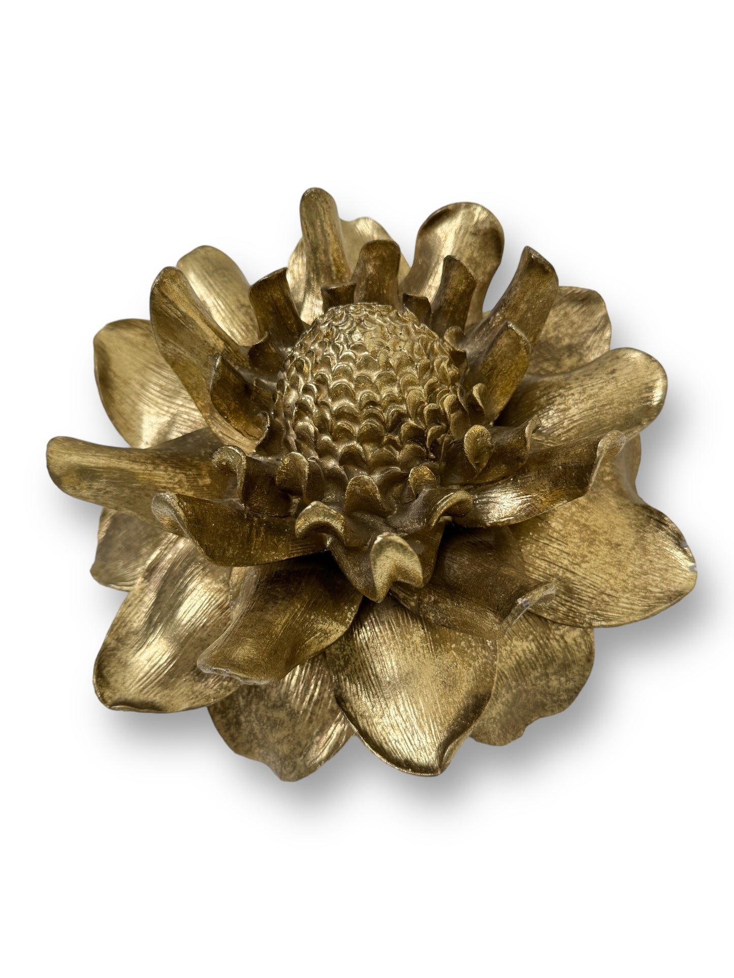 Etlingera Elatior Flower In Gold Wall Decoration