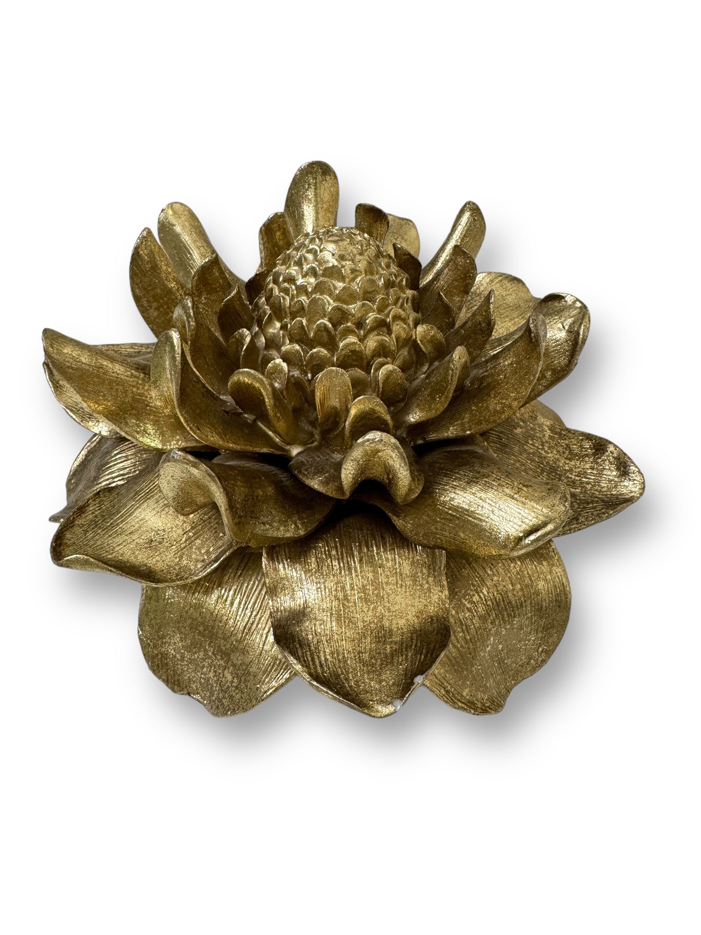 Etlingera Elatior Flower In Gold Wall Decoration