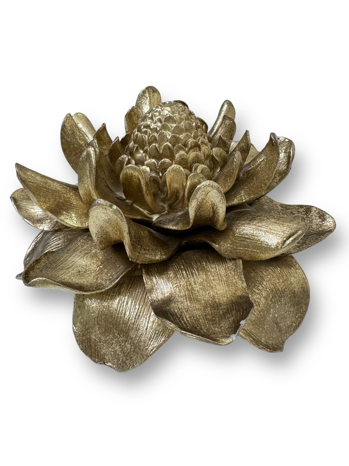 Etlingera Elatior Flower In Gold Wall Decoration