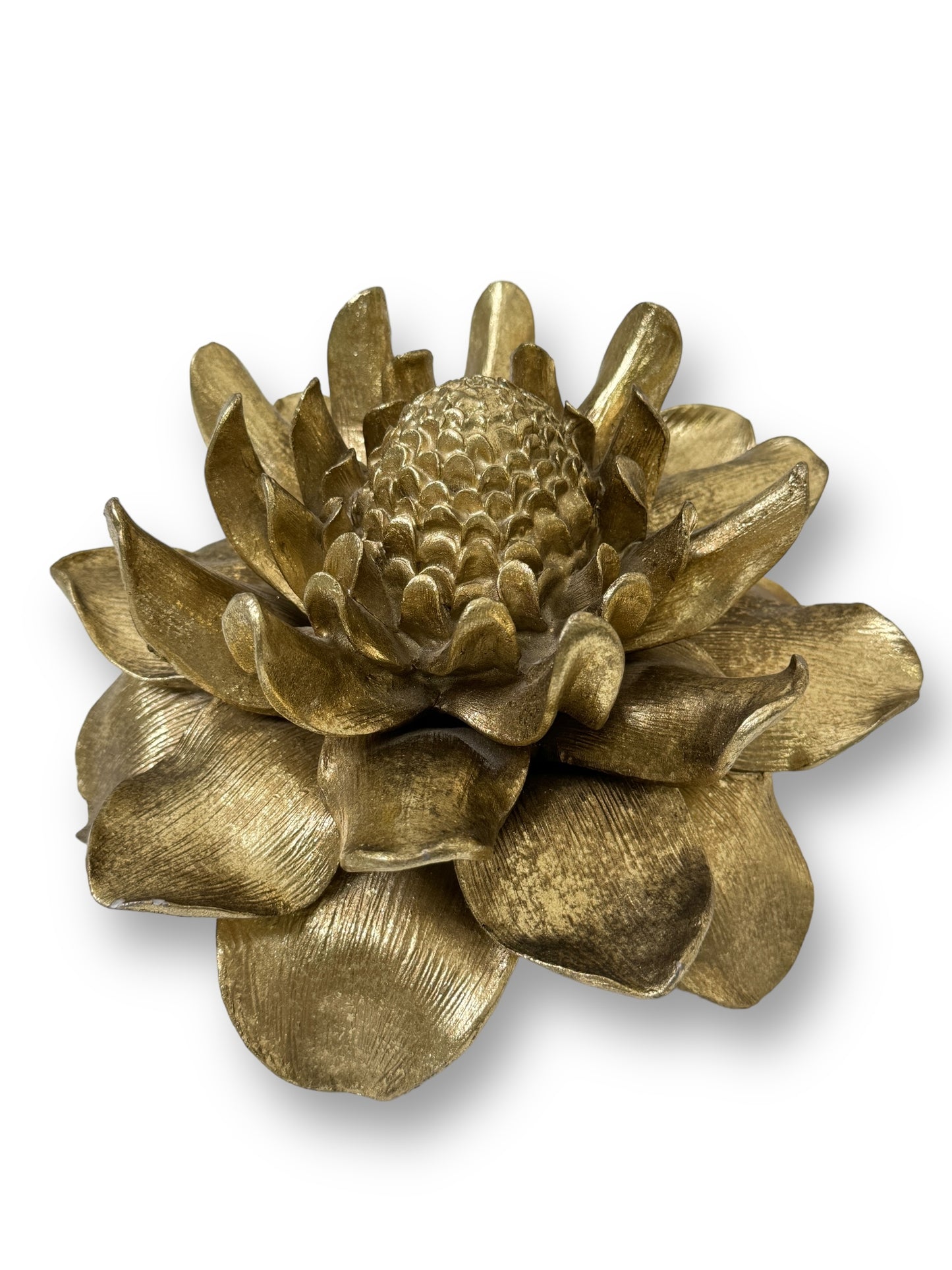 Etlingera Elatior Flower In Gold Wall Decoration