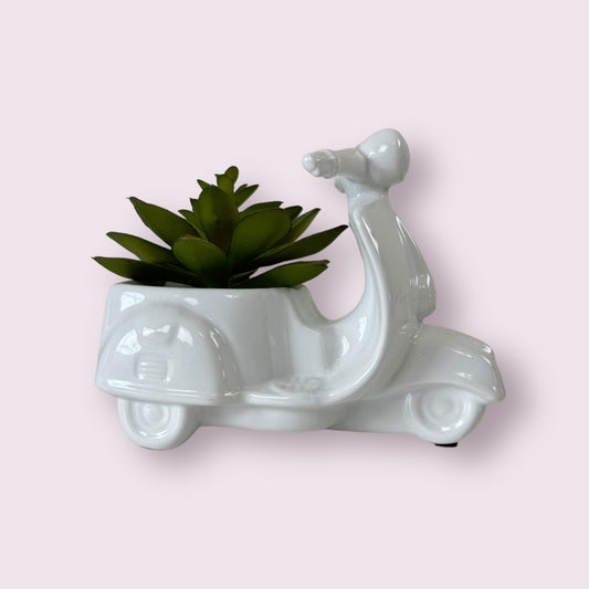 Succulent In Tricycle Pot Home Decoration