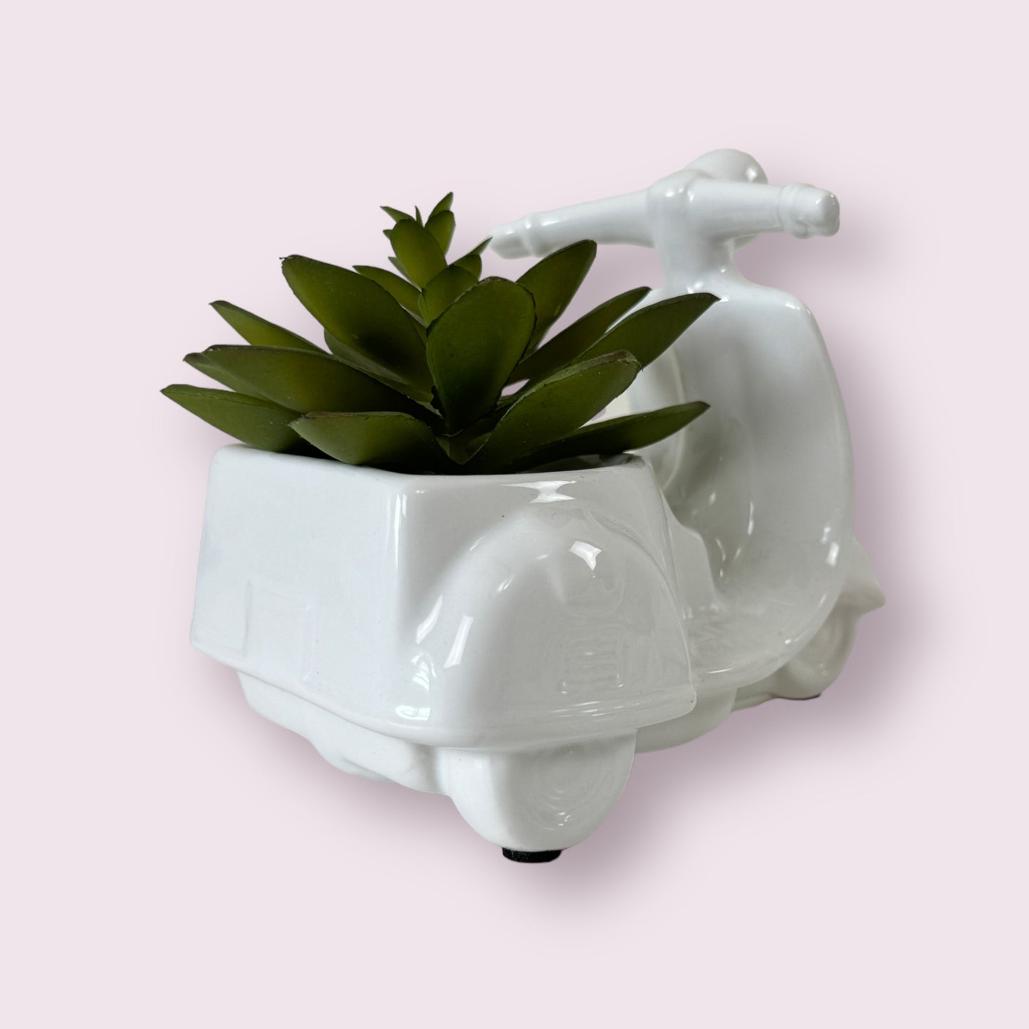 Succulent In Tricycle Pot Home Decoration