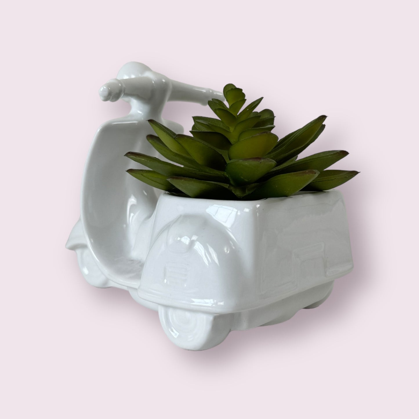 Succulent In Tricycle Pot Home Decoration