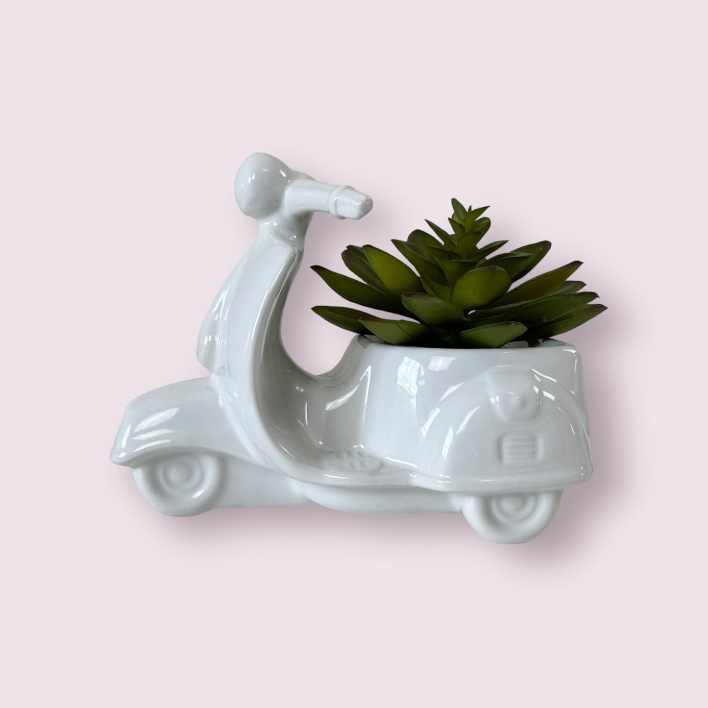 Succulent In Tricycle Pot Home Decoration