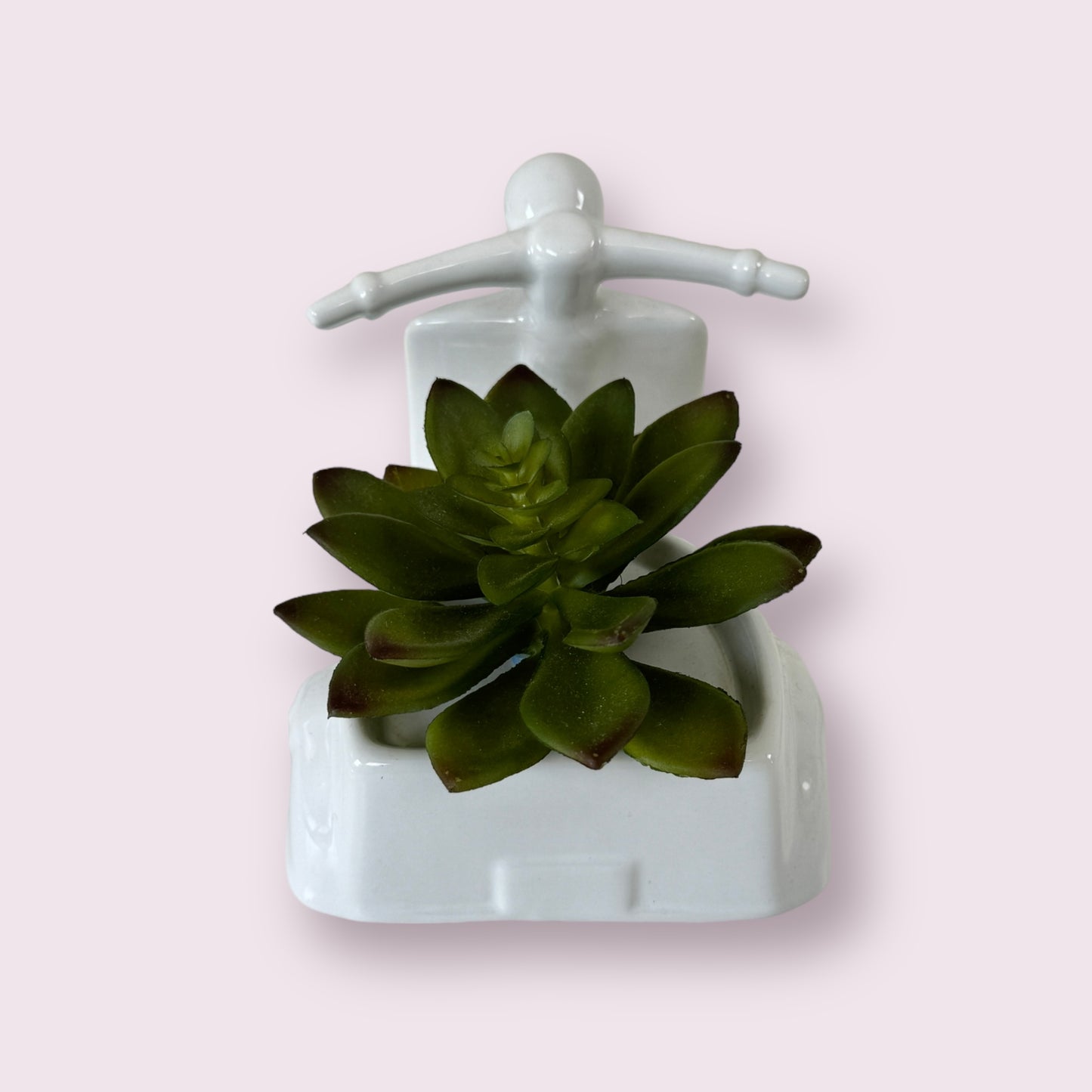 Succulent In Tricycle Pot Home Decoration