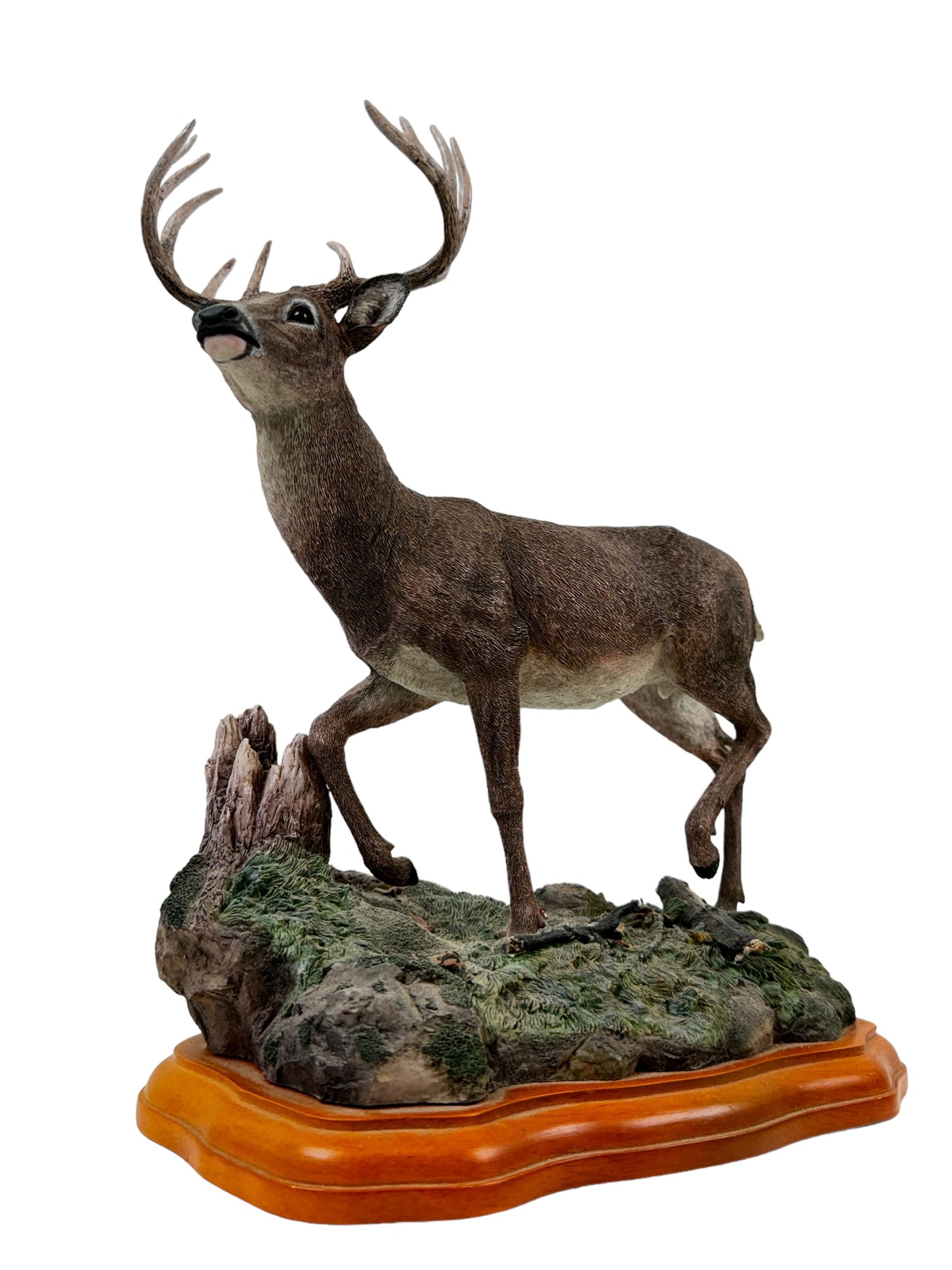 Vintage White Tail Deer Natural Wildlife Figurine 11.5" High