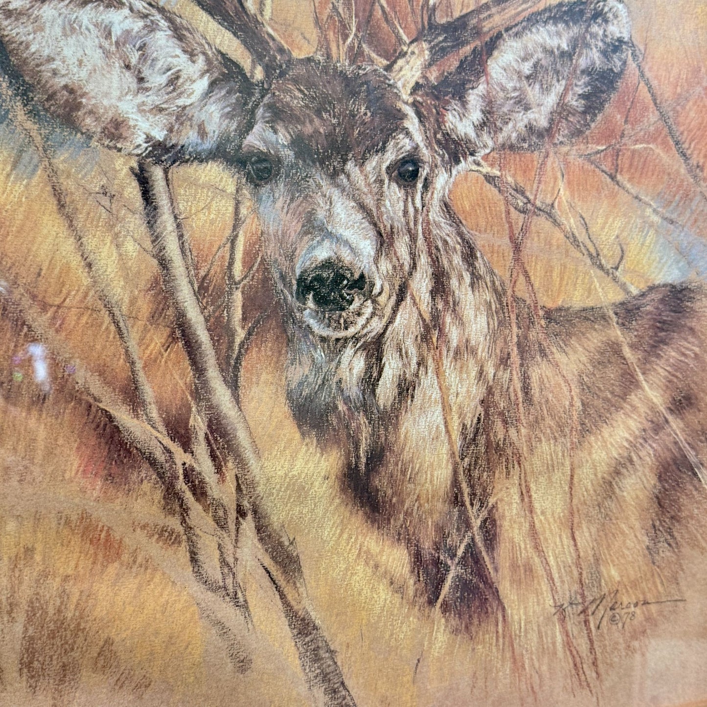 Vintage Deer High-Quality Print The Silent Buck By K Maroon Framed 20" x 24"